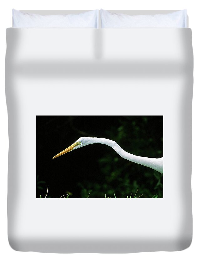 Egret Duvet Cover featuring the photograph Egret 1 by Ted Keller