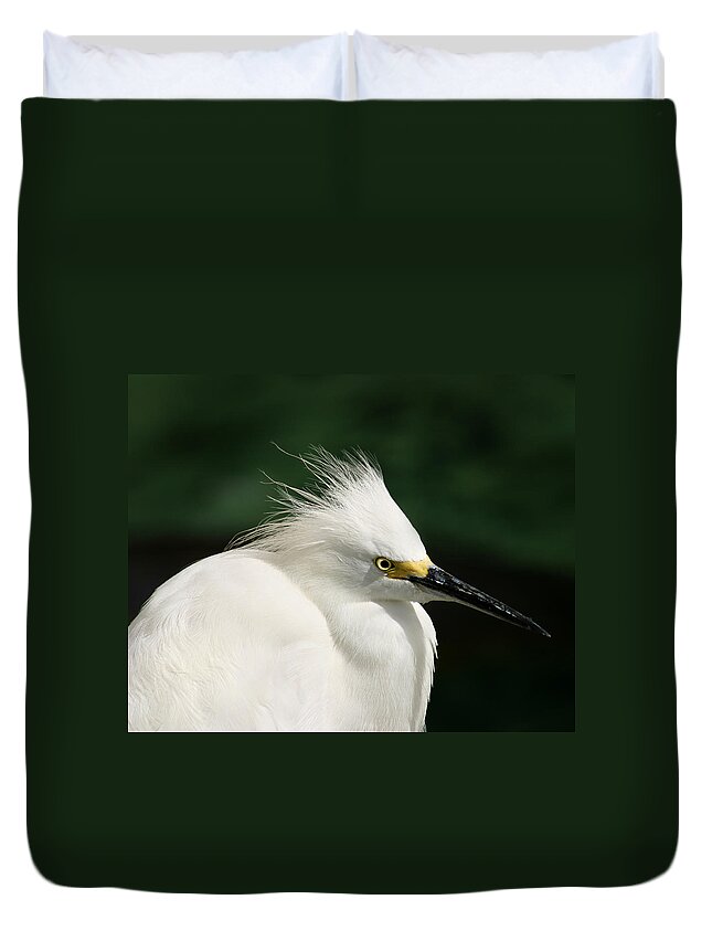 Egret Duvet Cover featuring the photograph Egret by Anthony Jones