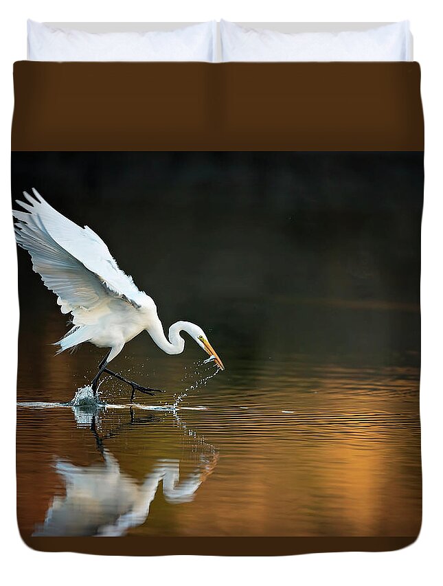 Egret Duvet Cover featuring the photograph Egret at Sunset by Eilish Palmer