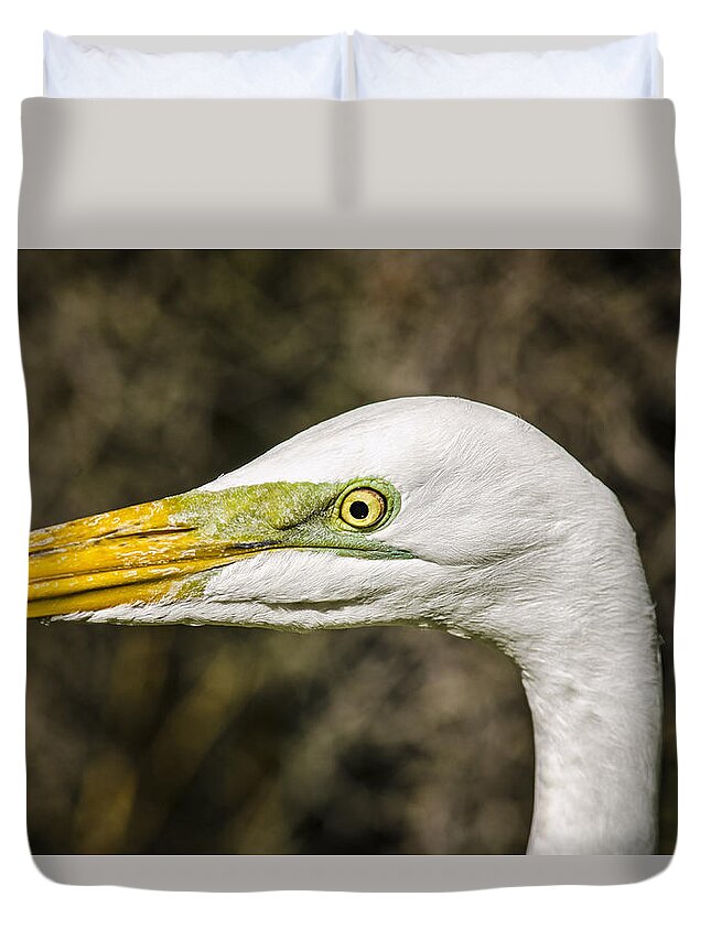 Bird Duvet Cover featuring the photograph Egret Eye by Peg Runyan