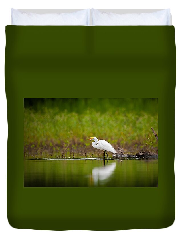 Nature Duvet Cover featuring the photograph Egret Feeding by Jeff Phillippi