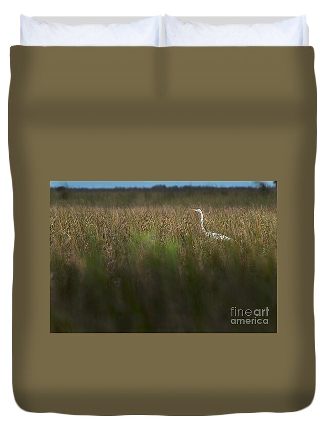 Loxahatchee Duvet Cover featuring the photograph Egret in Swamp-1-0711 by Steve Somerville