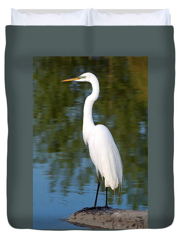 Egret Duvet Cover featuring the photograph Egret Standing by Kathleen Stephens