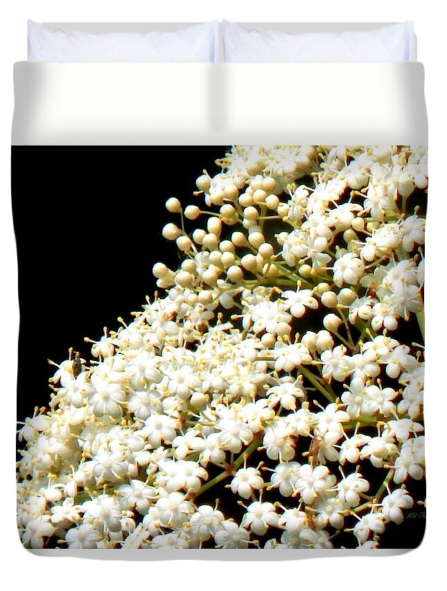 Spring Duvet Cover featuring the photograph Elderflower Tree by Wild Thing