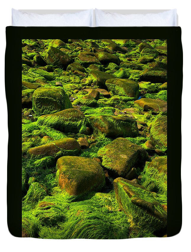 Raven Head Wilderness Duvet Cover featuring the photograph Electric Green by Irwin Barrett