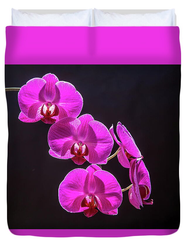 Orchid Duvet Cover featuring the photograph Elegance by Duncan Selby