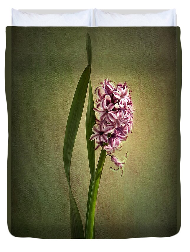 Hyacinth Flower Duvet Cover featuring the photograph Elegance by Marina Kojukhova