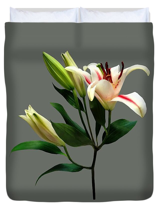 Lily Duvet Cover featuring the photograph Elegant Lily and Buds by Susan Savad