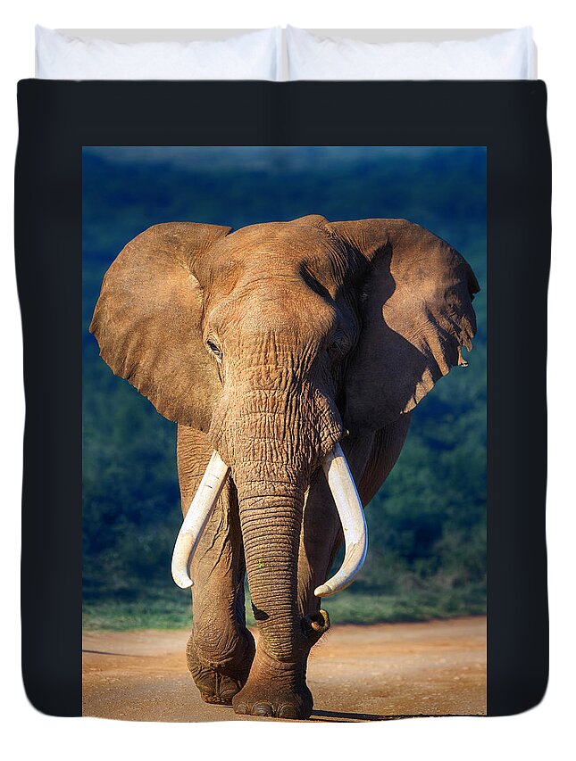 Elephant Duvet Cover featuring the photograph Elephant approaching by Johan Swanepoel