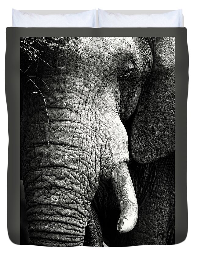 Elephant Duvet Cover featuring the photograph Elephant close-up portrait by Johan Swanepoel