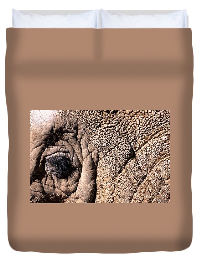 Animal Duvet Cover featuring the photograph Elephant Eye Closeup by John Harmon