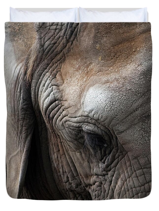 Elephant Duvet Cover featuring the photograph Elephant Eye by Lorraine Devon Wilke