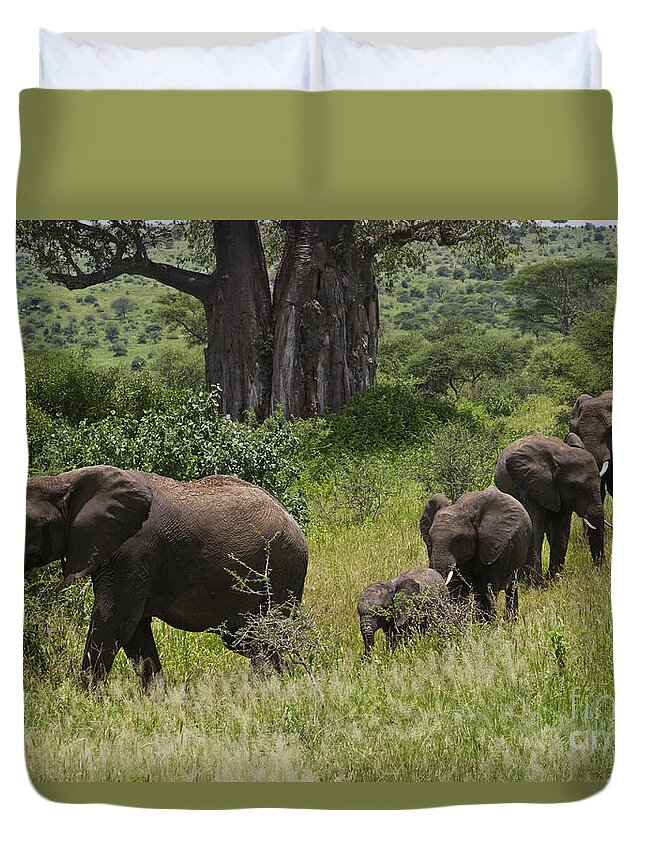 Tanzania_d313 Duvet Cover featuring the photograph Elephant Family Tarangire NP by Craig Lovell