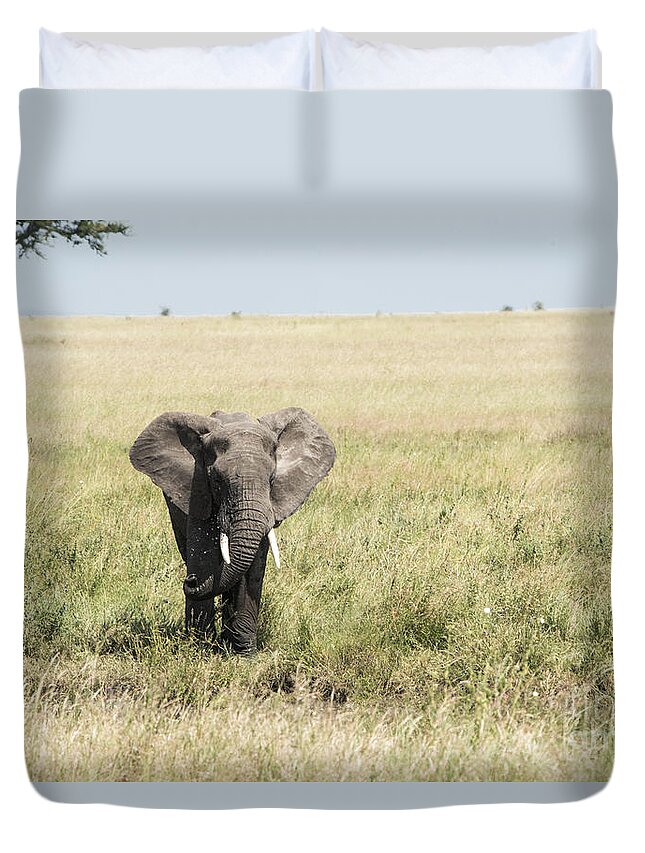 Elephant Duvet Cover featuring the photograph Elephant in the Serengeti by Pravine Chester