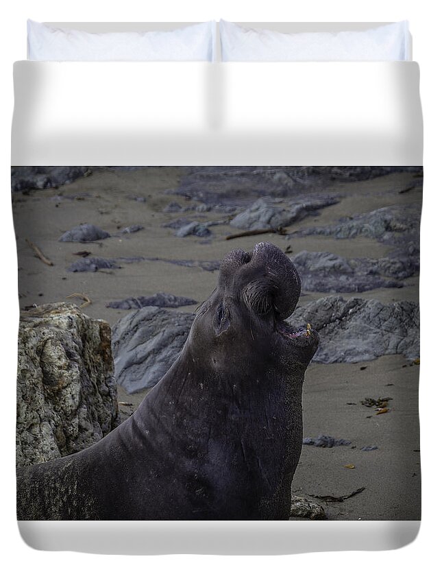 Elephant Duvet Cover featuring the photograph Elephant Sea Portrait by Garry Gay
