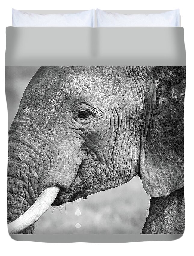 Elephant Duvet Cover featuring the photograph Elephant Tears in Black and White by Gill Billington