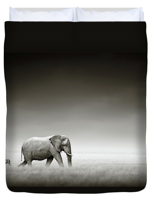 Elephant; Zebra; Behind; Follow; Huge; Big; Grass; Grassland; Field; Open; Plains; Grassfield; Dark; Sky; Together; Togetherness; Art; Artistic; Black; White; B&w; Monochrome; Image; African; Animal; Wildlife; Wild; Mammal; Animal; Two; Moody; Outdoor; Nature; Africa; Nobody; Photograph; Etosha; National; Park; Loxodonta; Africana; Walk; Namibia Duvet Cover featuring the photograph Elephant with zebra by Johan Swanepoel