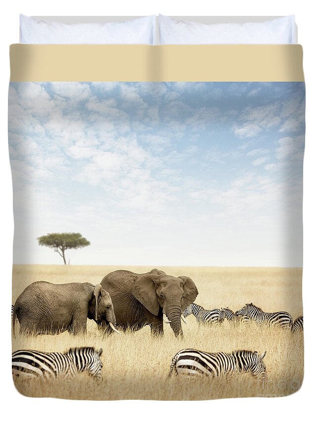 Elephant Duvet Cover featuring the photograph Elephants and zebras in the Masai Mara by Jane Rix