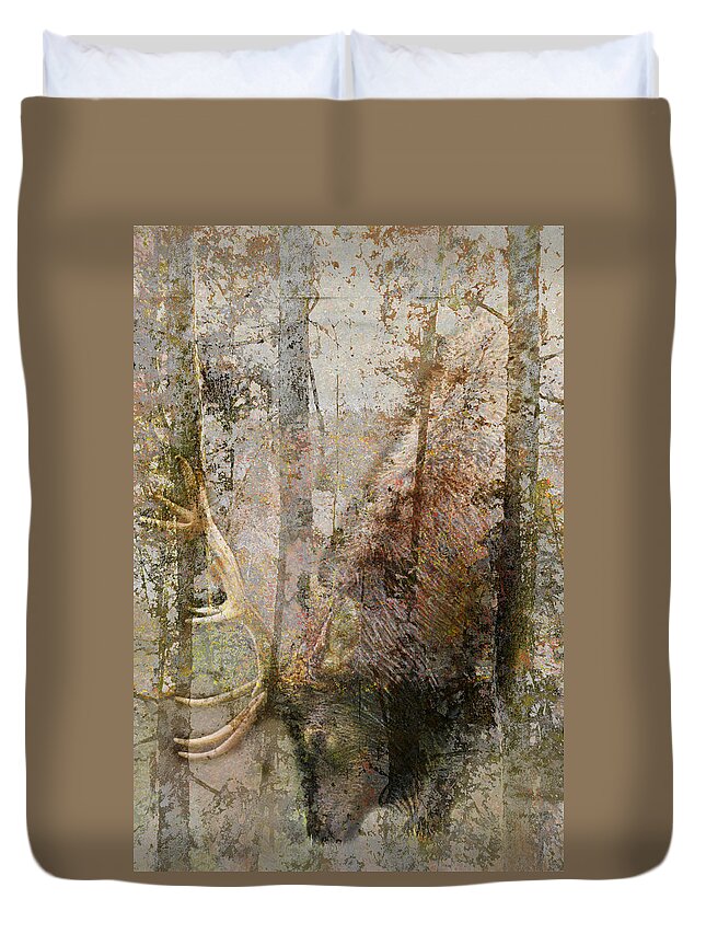 Elk Bull Duvet Cover featuring the photograph Elk Bull Grazing by Suzanne Powers