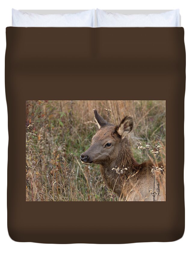 Elk Duvet Cover featuring the photograph Elk fawn by Jack Nevitt