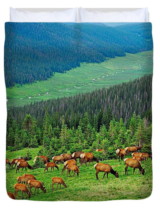 Elk Duvet Cover featuring the photograph Elk Highlands by Robert Meyers-Lussier