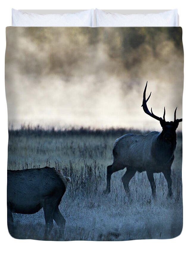 Elk Duvet Cover featuring the photograph Elk in the Mist by Wesley Aston