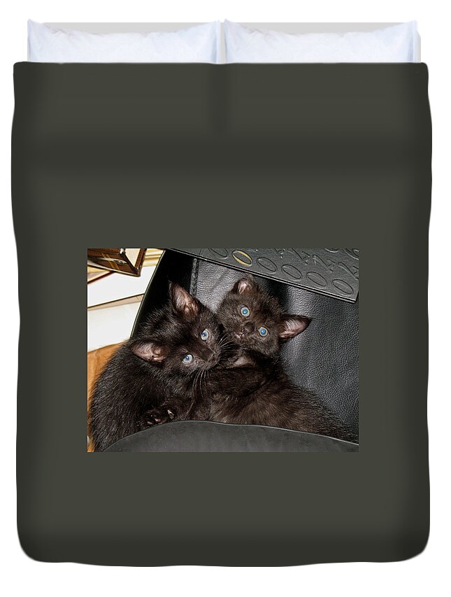 Cats Duvet Cover featuring the photograph Ellen and Elvira by Kenneth Albin