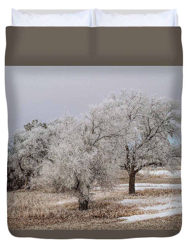 Elm Tree Duvet Cover featuring the photograph Elm Frosting by Alana Thrower