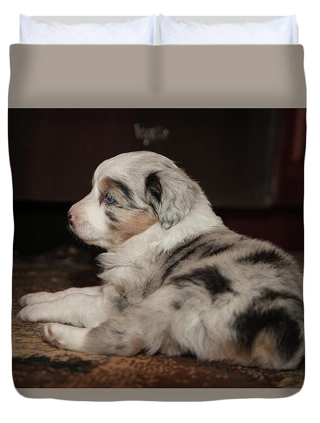 Puppy Duvet Cover featuring the photograph Elwood by Keith Lovejoy