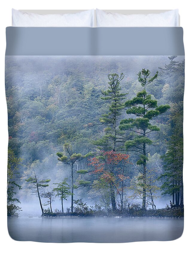 00176918 Duvet Cover featuring the photograph Emerald Lake In Fog Emerald Lake State by Tim Fitzharris