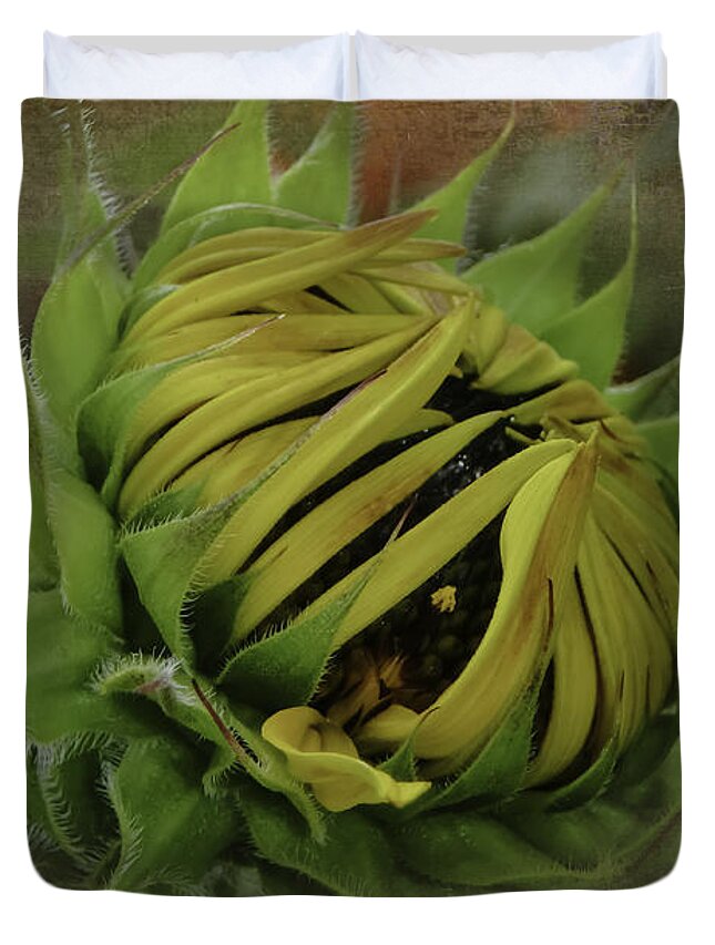Sunflower Duvet Cover featuring the photograph Emerging Sunflower by Judy Hall-Folde