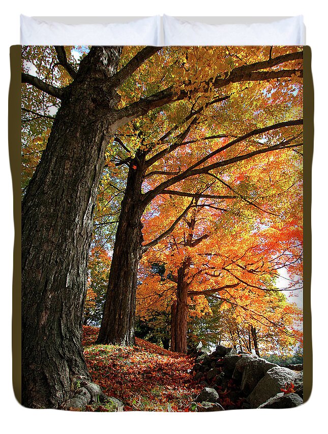 Photography Duvet Cover featuring the photograph Emery Farm Trees Fall Foliage by Brett Pelletier
