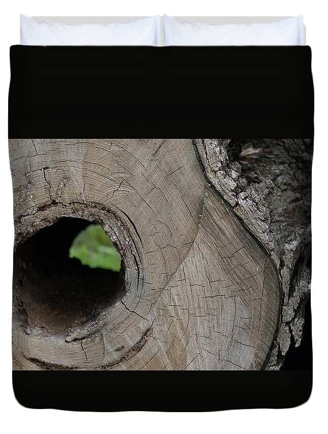 Empty Core Duvet Cover featuring the photograph Hollow Core by Brooke Bowdren