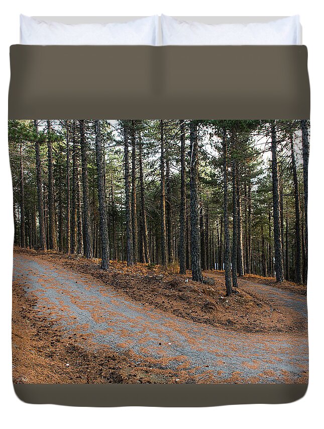 Forest Landscape Duvet Cover featuring the photograph Empty road passing through the forest in Autumn by Michalakis Ppalis