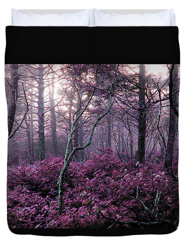 Enchanted Forest Duvet Cover featuring the photograph Enchanted by Jessica Brawley