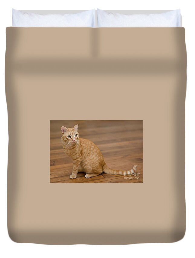 Red Tabby Cat Duvet Cover featuring the photograph Enrique 1 by Irina ArchAngelSkaya