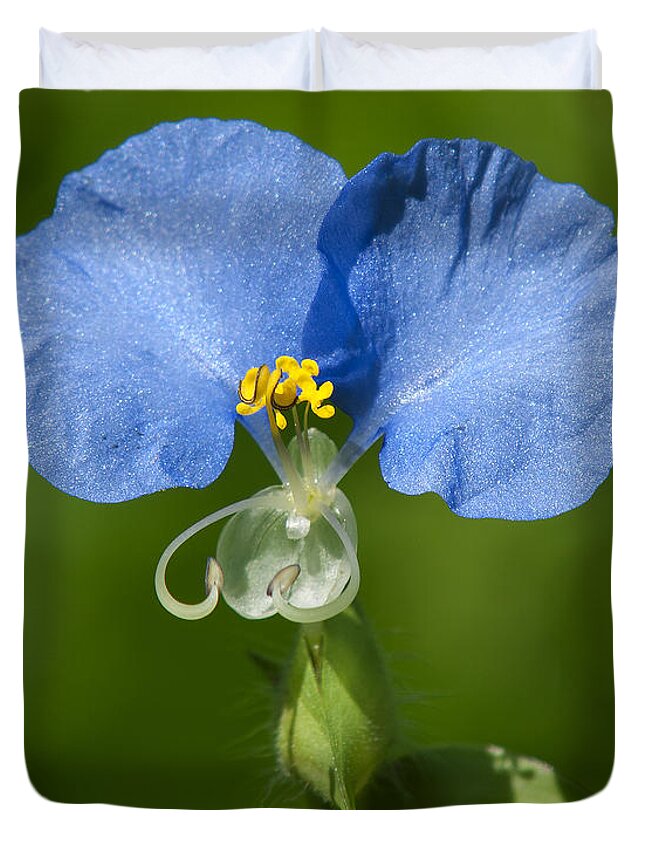 Nature Duvet Cover featuring the photograph Erect Dayflower DSMF0300 by Gerry Gantt