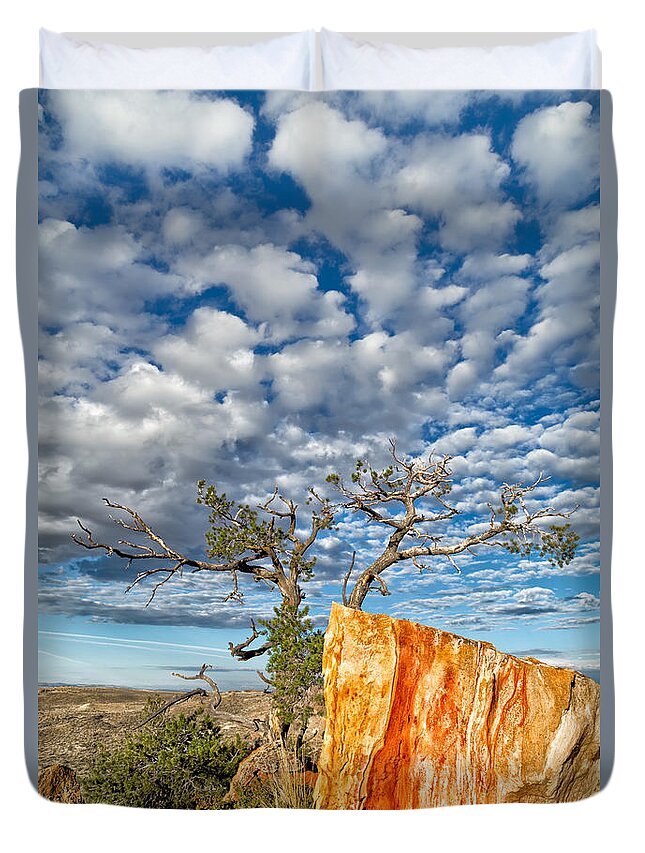 Castle Gardens Duvet Cover featuring the photograph Escarpment in the Badlands by Kathleen Bishop