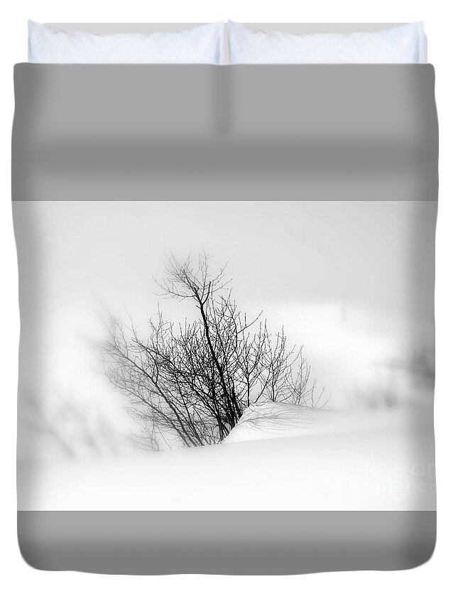 Snow Duvet Cover featuring the photograph Essence of Winter by Elfriede Fulda