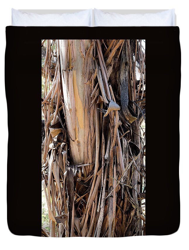 Canberra Duvet Cover featuring the photograph Eucalyptus Bark - Australia by Steven Ralser