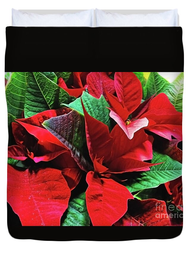 Christmas Decoration Duvet Cover featuring the photograph Euphorbia pulcherrima by Jasna Dragun