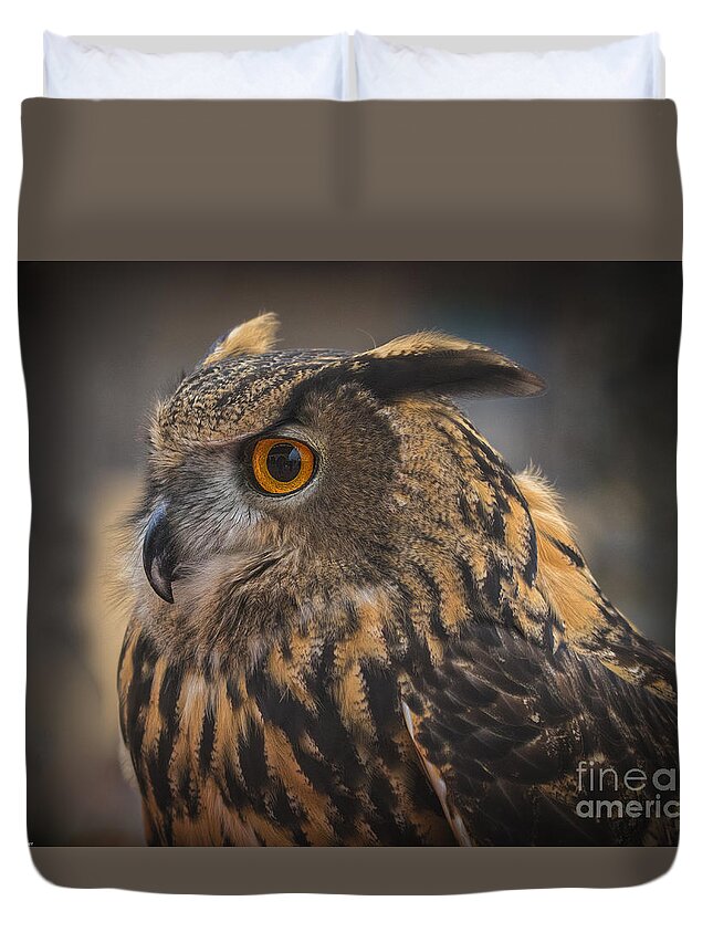 Eurasian Eagle Owl Duvet Cover featuring the photograph Eurasian Eagle Owl Portrait 2 by Mitch Shindelbower