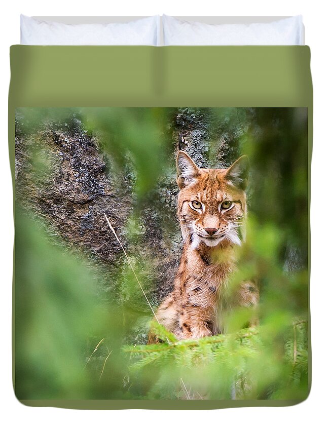 Eurasian Lynx Duvet Cover featuring the photograph Eurasian lynx by Torbjorn Swenelius