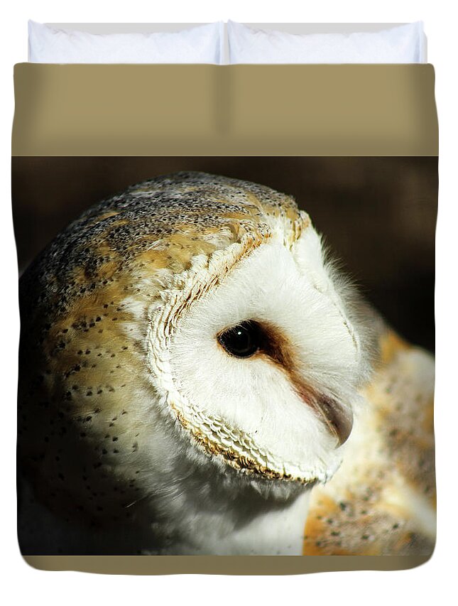 Owl Duvet Cover featuring the photograph European Barn Owl by Holly Ross