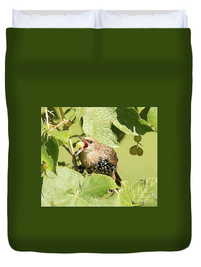 Bird Duvet Cover featuring the photograph European Starling Feeding on Grapes by Dennis Hammer