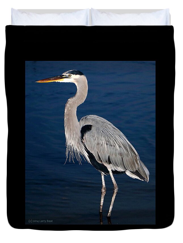 Liza Duvet Cover featuring the photograph Evening Heron by Larry Beat