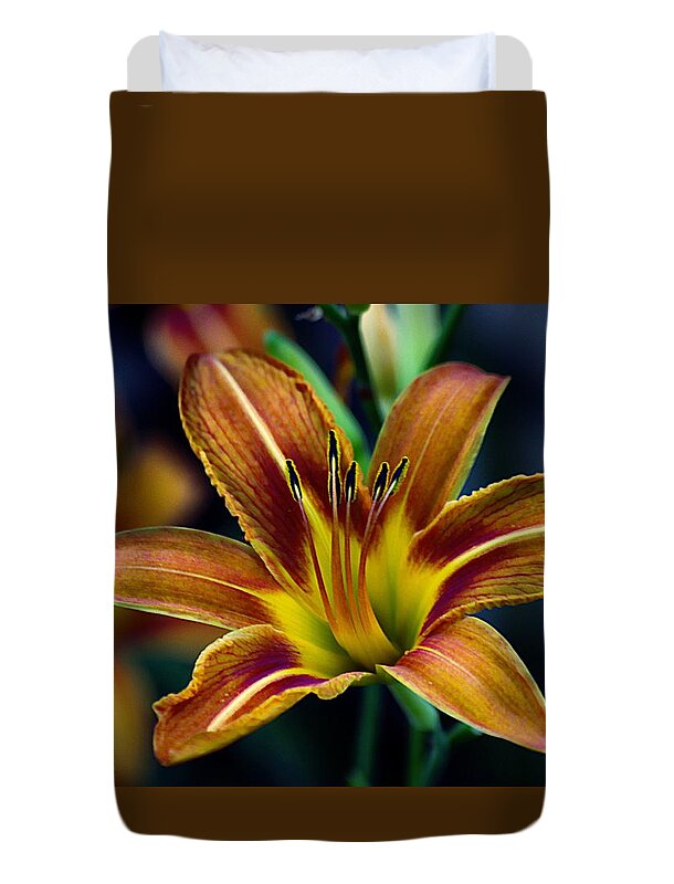 Orange Lily Duvet Cover featuring the photograph Evening Lily by Karen McKenzie McAdoo