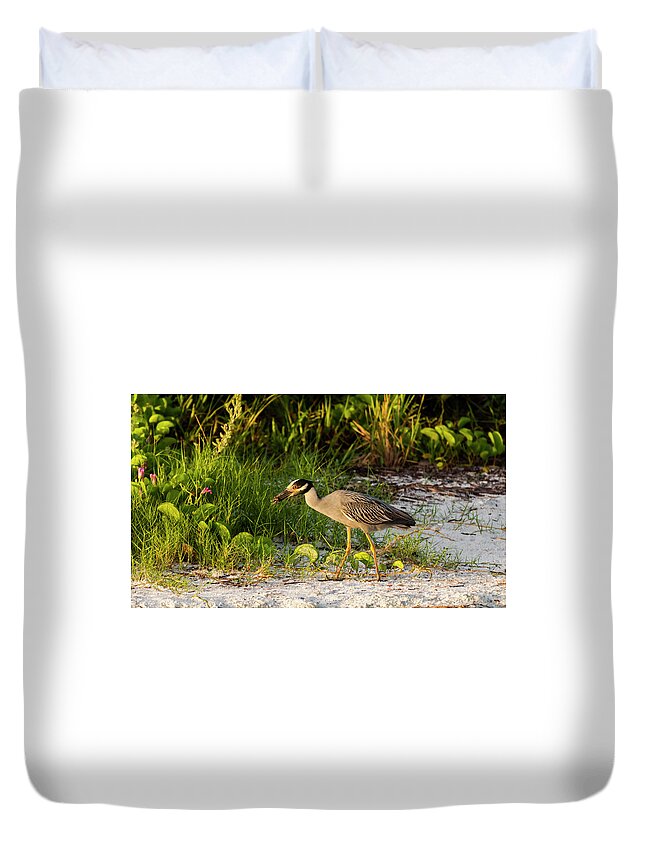 Birds Duvet Cover featuring the photograph Evening Meal by Ginger Stein
