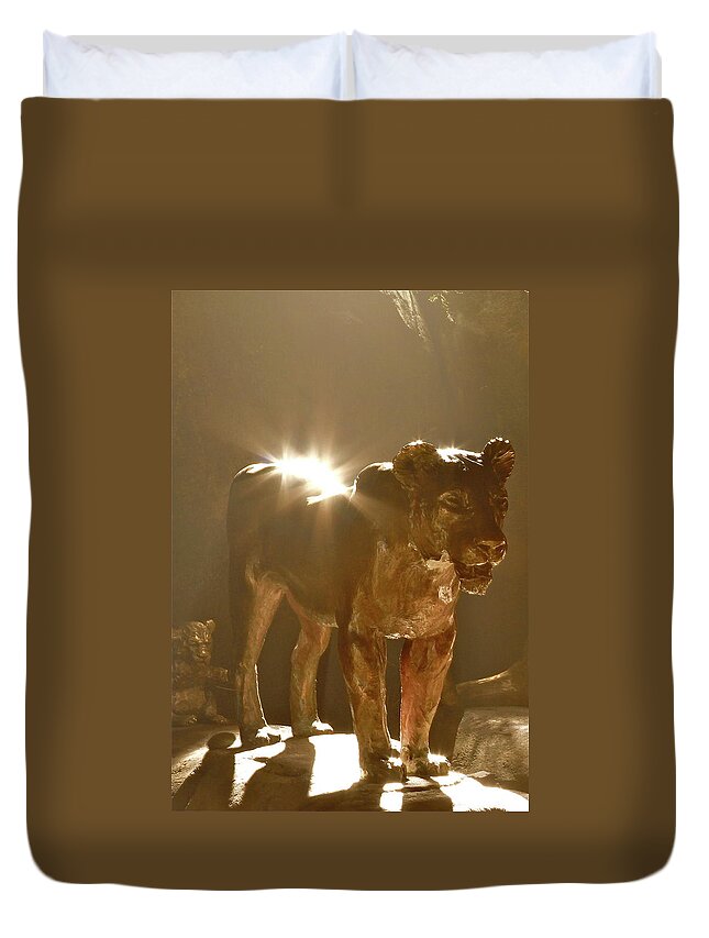 Light Duvet Cover featuring the photograph Evening's Light by Laddie Halupa