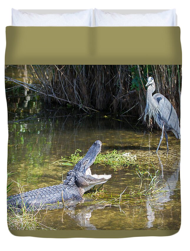 Everglades National Park Duvet Cover featuring the photograph Everglades 431 by Michael Fryd
